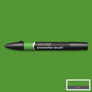 Winsor & Newton promarkers Brush - Forest Green