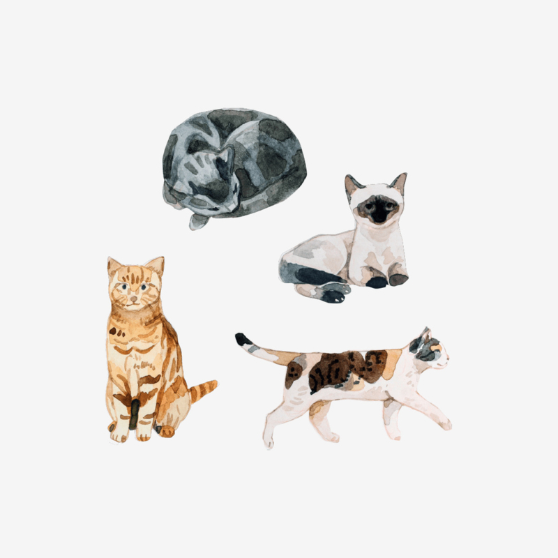 Mossery stickers - Artist Series - Cats