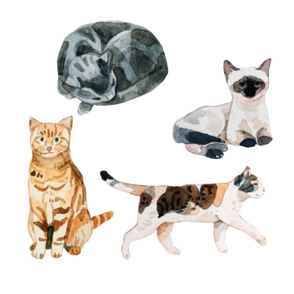 Mossery stickers - Artist Series - Cats