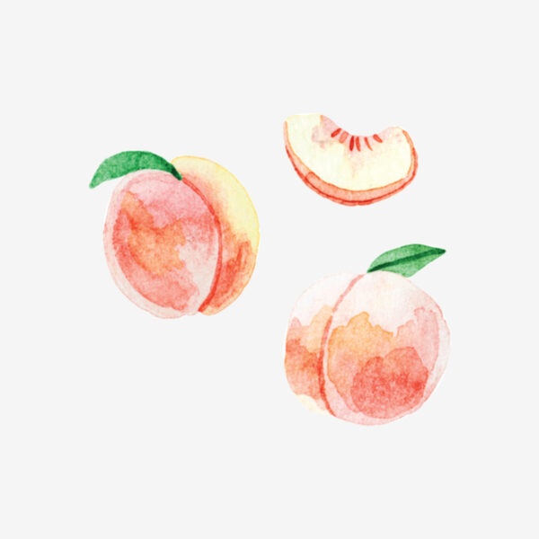 Mossery stickers - Artist Series - Peaches