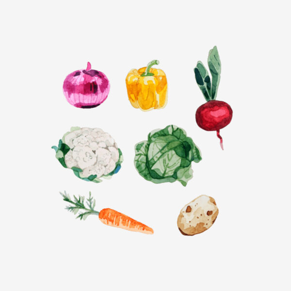 Mossery stickers - Artist Series - Vegetables