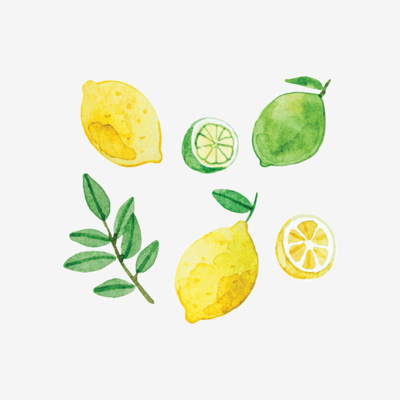 Mossery stickers - Artist Series - Lemons & Limes
