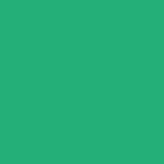 Winsor & Newton promarkers - Emerald