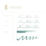 Ferris Wheel Press 28ml Calligraphy Ink - Sage Advice - Afbeelding 3